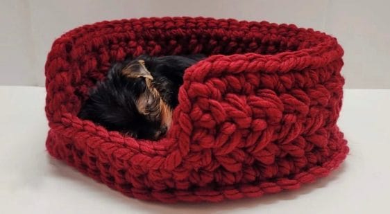 Easy Crochet Pet Bed Tutorial